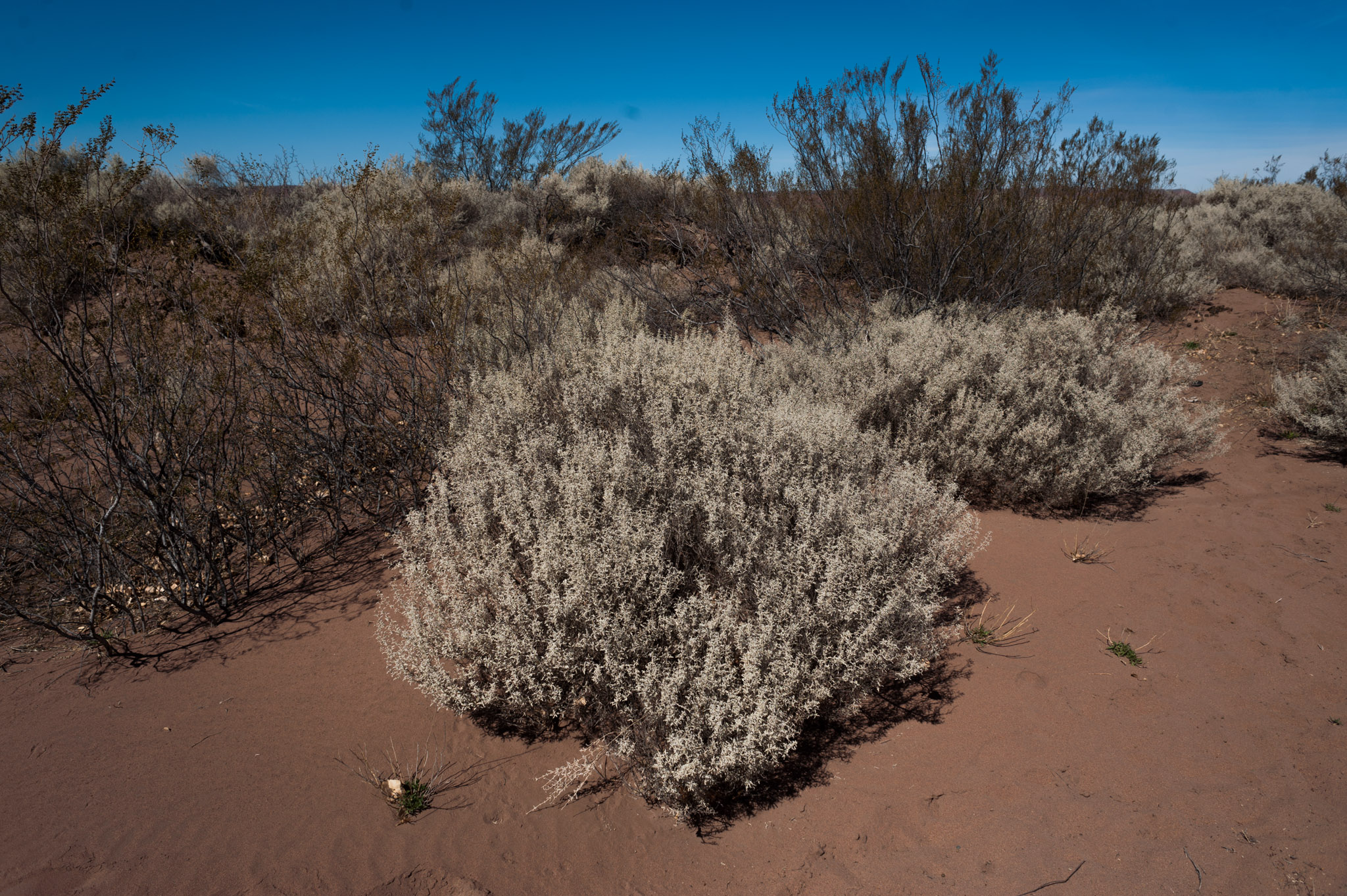 Comunidad Campo Maripe, Neuquén.